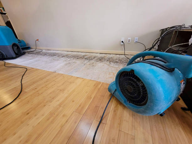 Professional Structural Drying technician working in Parksville, KY